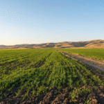 gateai-image-1764286206846