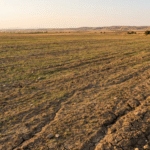 gateai-image-1764286697034