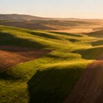 seedream-4-image (1)